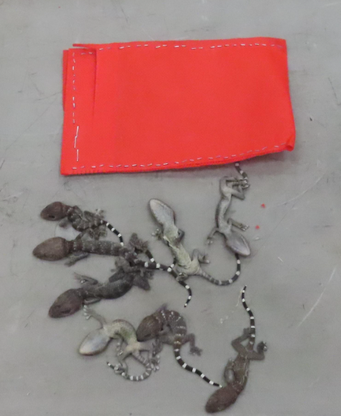 hk_c_1765363573037025790.png hk_c_image.png