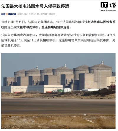 法國最大核電站因水母入侵導致停運